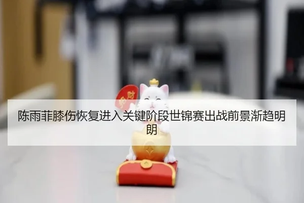 陈雨菲膝伤恢复进入关键阶段世锦赛出战前景渐趋明朗